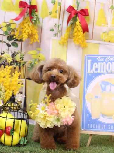 20240409永遠ちゃん